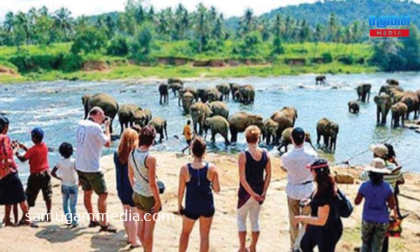 இலங்கைக்கு வருகை தரும்  சுற்றுலாப் பயணிகளின் எண்ணிக்கை அதிகரிப்பு! SamugamMedia 